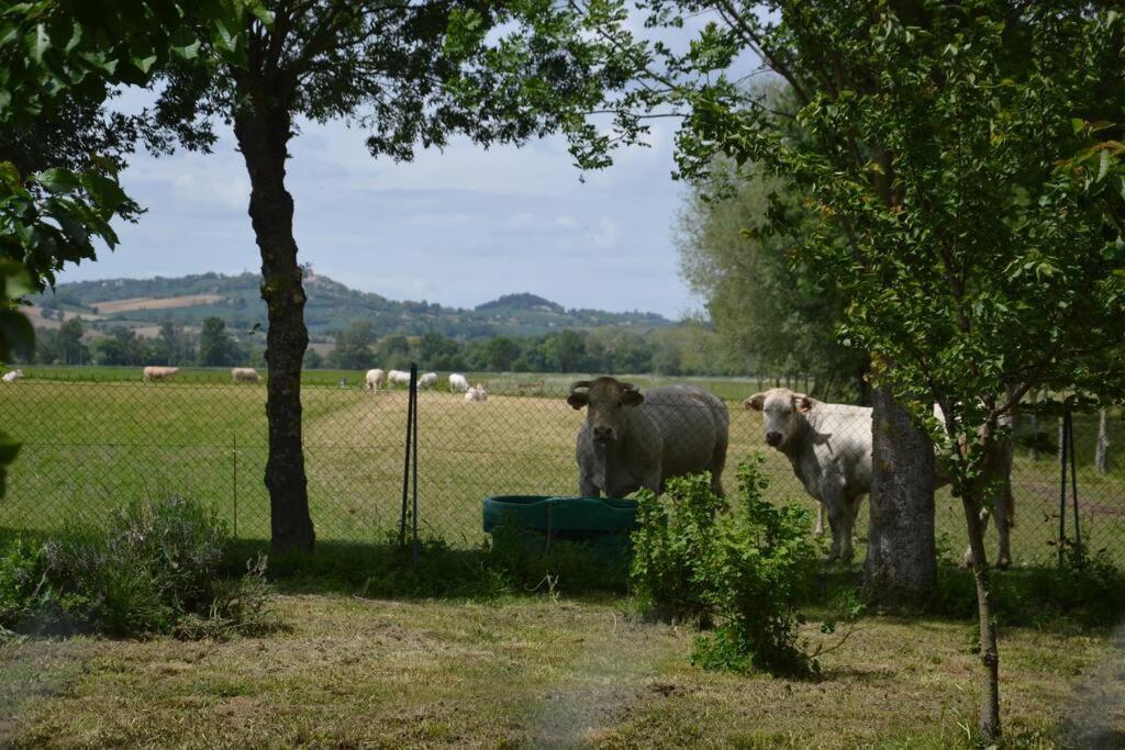 Gite A La Ferme De La Bouriette ريفيل المظهر الخارجي الصورة